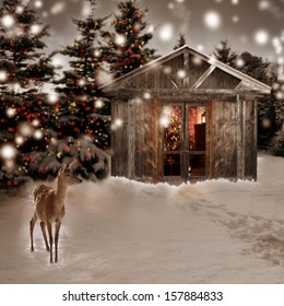 Deer And Christmas Scenery