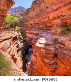 Deer Creek Canyon In Grand Canyon.