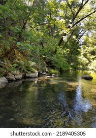 Deer Creek Summer Camp Out