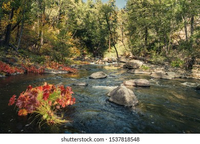 Deer Creek In Tehama County, CA.