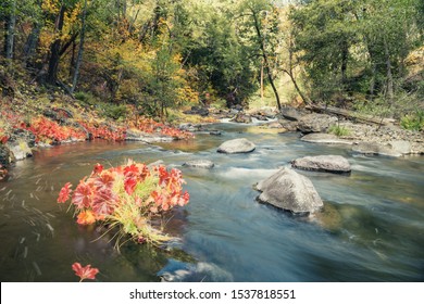 Deer Creek In Tehama County, CA.