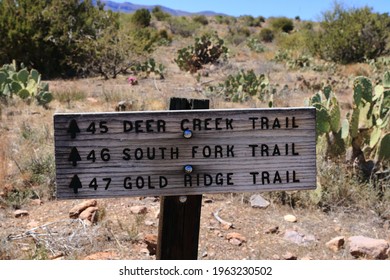 Deer Creek Trail Wooden Sign