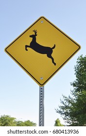 Deer Crossing On The Road Sign 