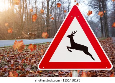 Deer Crossing Sign