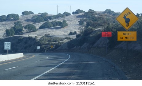 Deer Crossing Warning Yellow Sign, California USA. Wild Animals Xing Traffic Signage For Safety Driving On Country Road. Wildlife Fauna Protection From Cars On Highway Curve. Road Trip Concept.