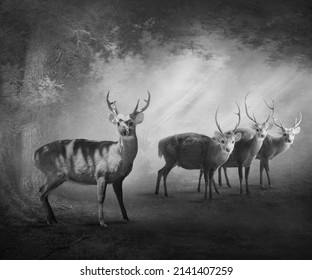 The Deer In The Dark Jungle