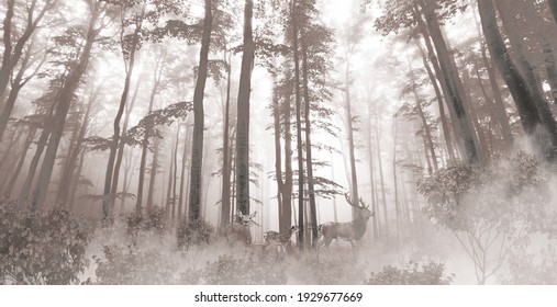 Deer In The Fog, Wild Animals