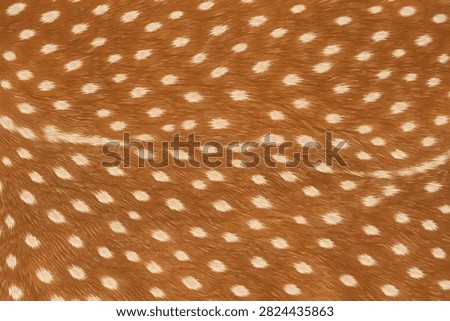 Deer Fur Pattern Flat Vector Illustration