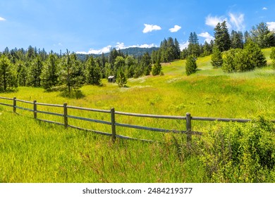 A deer hides near a tree in the tall grass near a small rustic shed on a fenced ranch in the rolling hills of Coeur d'Alene, Idaho, USA. - Powered by Shutterstock