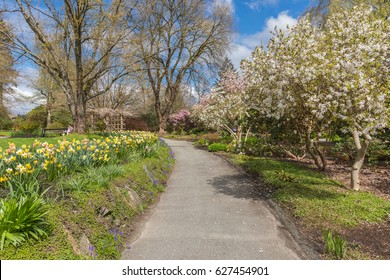 Deer Lake Park In The Spring, Burnaby, Canada. 