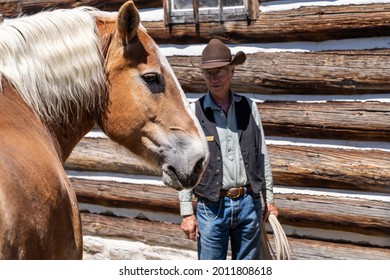 Deer Lodge, Montana - June 30, 2021: Horse at the Grant-Kohrs National Historic Site Ranch, with a rancher farmhand park ranger (intentionally blurred)