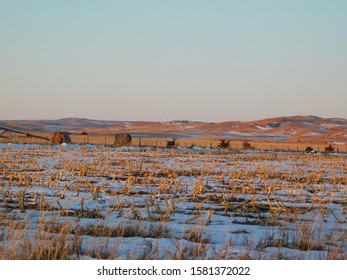 Deer In Nebraska (Winter 2019)