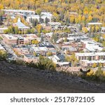 Deer Photobombs Photo of Aspen, Colorado 