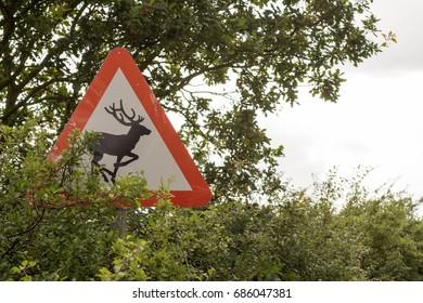 Deer Road Sign