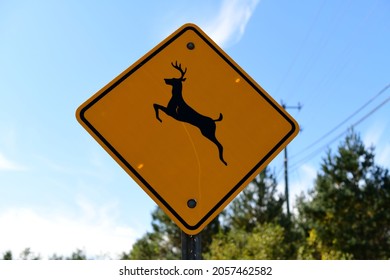 Deer Road Sign In Canada