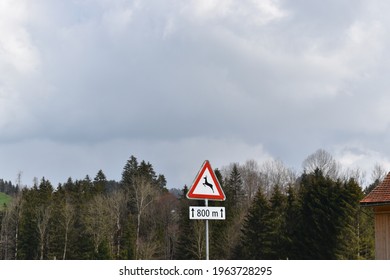 A Deer Road Sign Warning