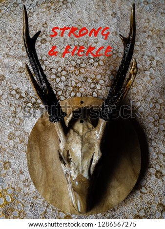 Similar – Image, Stock Photo Wall sculpture deer skull vase with roses