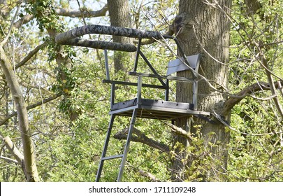 A Deer Stalking Chair By A Tree In The Countryside.