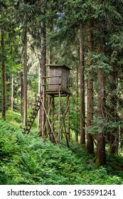 Deer Stand Hunting Tower Hidden In Dark Forest In Between Fir Trees.