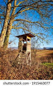 Deer Stand Hunting Tower Under Tree In Fall