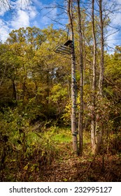 Deer Stand In Tree