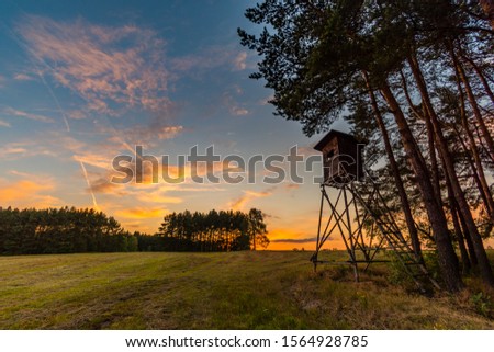 Deer stand (tree stand) beside field and forest at sunset light, Czech republic