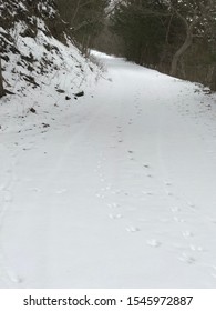 Deer Tracks On A Snowy Rural Road In Kansas.