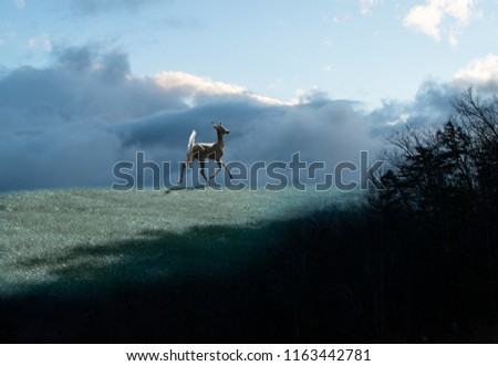 Similar – Image, Stock Photo Iceland Environment Nature