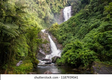 Deer Waterfall - Bocaina Range
