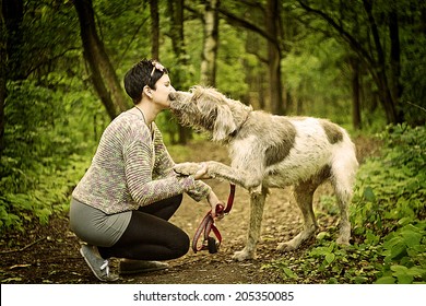  Deerhound Dog Kissing A Woman In Walking