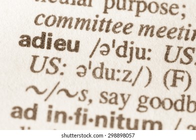 Definition Word Adieu Dictionary Stock Photo 298898057  Shutterstock