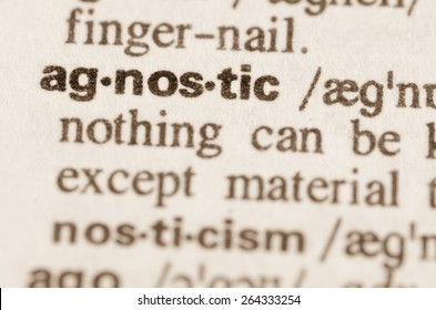 Definition Of Word Agnostic In Dictionary