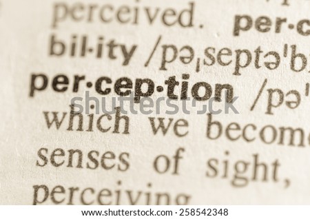Definition of word perception  in dictionary
