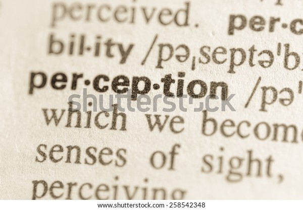 perceived notion definition