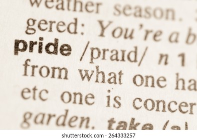 Definition Word Pride Dictionary Stock Photo 264333257 | Shutterstock