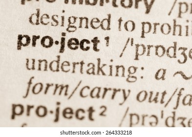 Definition Of Word Project In Dictionary