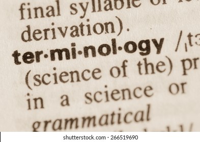 Definition Of Word Terminology In Dictionary