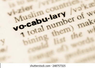Definition of word vocabulary in dictionary