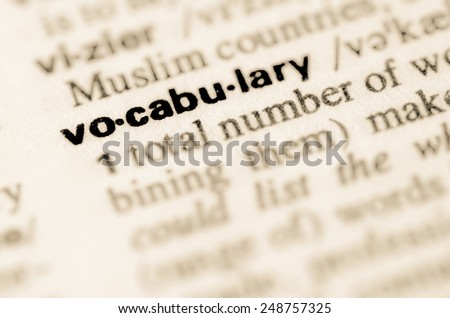Definition of word vocabulary in dictionary