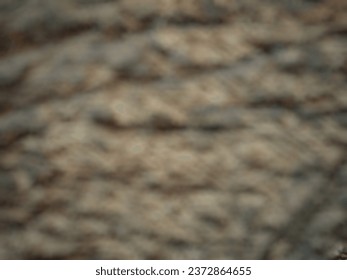 defocued abstract background of Rough tree bark horizontal format. Texture shot of brown tree bark, filling the frame. Background bark, rough surface of bark image. 