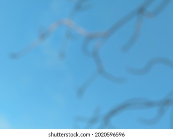 defocus abstract background of dry tree branches photographed from below and blue sky behind