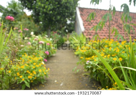 Defocus abstract background of path at the gorgeus flower garden