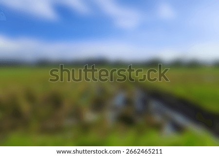 defocus abstract background view of rice field with blue sky in central java