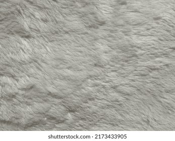 Defocus Abstract Background White Fur Rug Being Dried