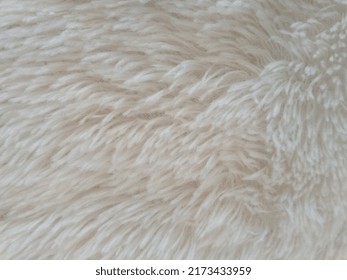 Defocus Abstract Background White Fur Rug Being Dried