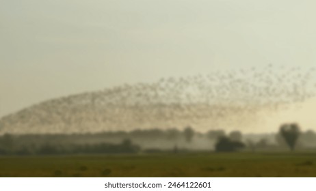 Defocus abstract blurred background of the flock of birds on the sky