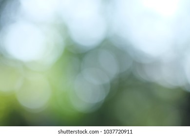 Defocus Background. Royalty High Quality Free Stock Image Of  Bokeh Leaf. Defocus Of Green Leaf On Tree. Abstract Nature Background And Beautiful Wallpaper. Soft Focus Light On View Leaves Flare