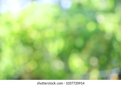 Defocus background. Royalty high quality free stock image of  bokeh leaf. Defocus of green leaf on tree. Abstract nature background and beautiful wallpaper. Soft focus light on view leaves flare