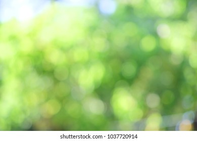 Free Background High Res Stock Images Shutterstock