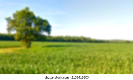 defocus background spring nature green - Shutterstock ID 2138418803